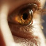 closeup photo of an eye