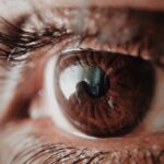 closeup photo of a human eye